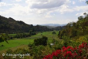 Mae Hong Son Loop Reisfeld Aussicht