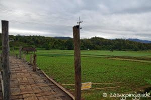 Sutongpe Bridge Felder